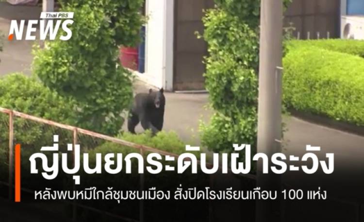 ญี่ปุ่นยกระดับเฝ้าระวัง หลังพบหมีใกล้ชุมชนเมือง สั