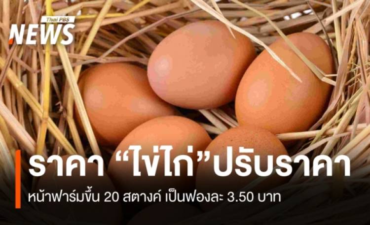 ราคา "ไข่ไก่" ปรับราคา หน้าฟาร์มขึ้น 20 สตางค์ เป็นฟองละ 3.5
