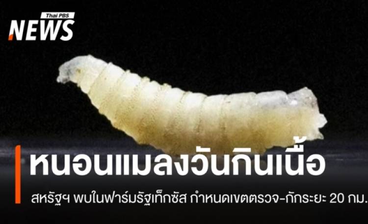 สหรัฐฯ พบ 
