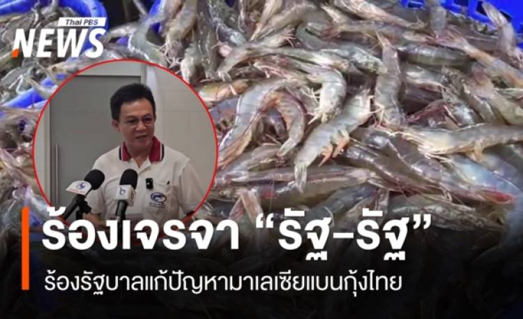 ส.กุ้งไทย เรียกร้องรัฐบาลเจรจา “รัฐต่อรัฐ” แก้ปัญหา “มาเลเซีย” ระงับนำเข้ากุ้งไทย