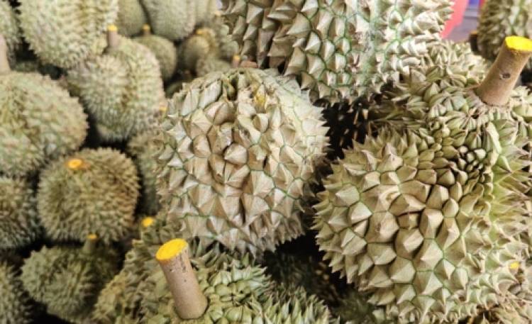 พาณิชย์เร่งเครื่อง รับมือผลไม้ออกสู่ตลาดกว่า 6 ล้านตัน ดันบร