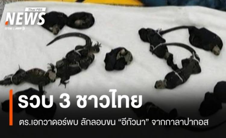 ตร.เอกวาดอร์รวบ 3 ชาวไทย ลักลอบขน 