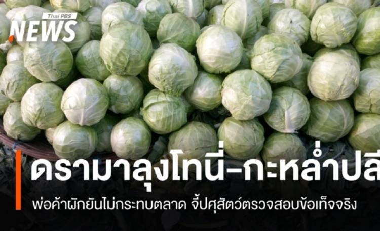 พ่อค้าผักยันดรามา 