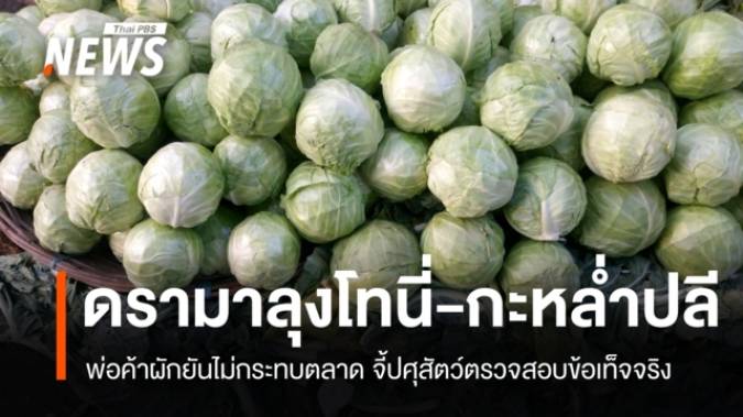 พ่อค้าผักยันดรามา "ลุงโทนี่-ควายกินกะหล่ำปลีตาย" ไม่กระทบตลาด