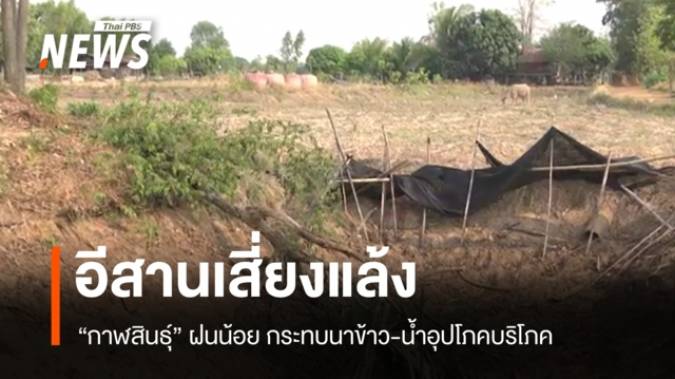 อีสานเสี่ยงแล้ง "กาฬสินธุ์" ฝนน้อย กระทบนาข้าว-น้ำอุปโภคบริโภค