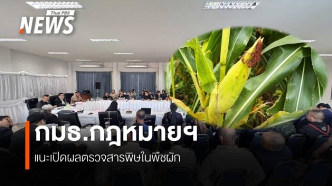 กมธ.กฎหมายฯ แนะเปิดผลตรวจสารพิษในพืชผัก ชาวบ้านท่าตอน จ.เชียงใหม่ กินผักปนเปื้อนเกือบ 2 ปี 