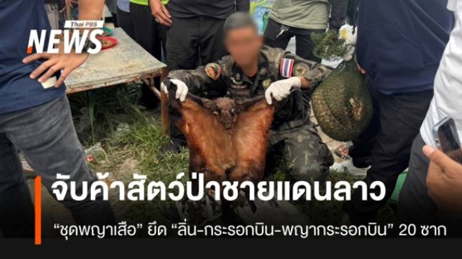 “ชุดพญาเสือ” บุกจับหญิงชาวลาวค้าซากสัตว์ป่าที่ตลาดชายแดนรัตนวาปี