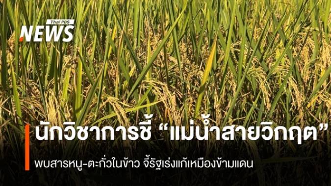 นักวิชาการแนะ "แก้วิกฤตแม่น้ำสาย" พบสารหนู-ตะกั่วในข้าว จี้ตรวจ 20 เหมือง ในท่าขี้เหล็ก