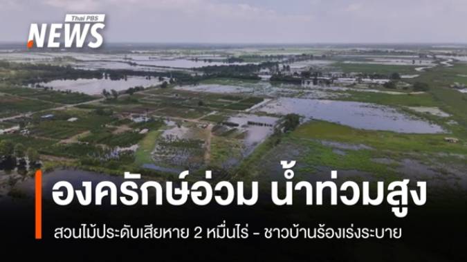องครักษ์อ่วม น้ำท่วมสูง สวนไม้ประดับเสียหาย 2 หมื่นไร่ ชาวบ้านร้องเร่งระบาย