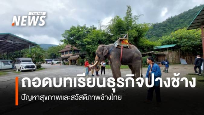 เมื่อเทรนด์ท่องเที่ยวเปลี่ยน แต่สวัสดิภาพช้างต้องมาก่อน