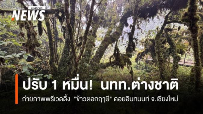 ปรับ 1 หมื่น!  นทท.ต่างชาติ ถ่ายภาพพรีเวดดิ้ง  "ข้าวตอกฤาษี" ดอยอินทนนท์ จ.เชียงใหม่