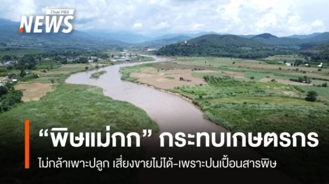 เกษตรกรโอดสารพิษลุ่มน้ำกก กระทบวิถีชีวิต-รายได้จากการเพาะปลูก