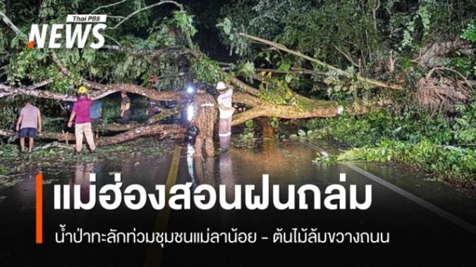 น้ำป่าทะลักท่วมชุมชนแม่ลาน้อย จ.แม่ฮ่องสอน ต้นไม้ล้มขวางถนน