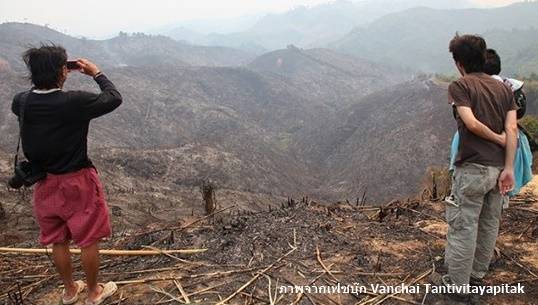 วงเสวนาชี้ บริษัทผลิตอาหารสัตว์รายใหญ่ ต้นเหตุ "เผาป่า-ทำลายทะเล"