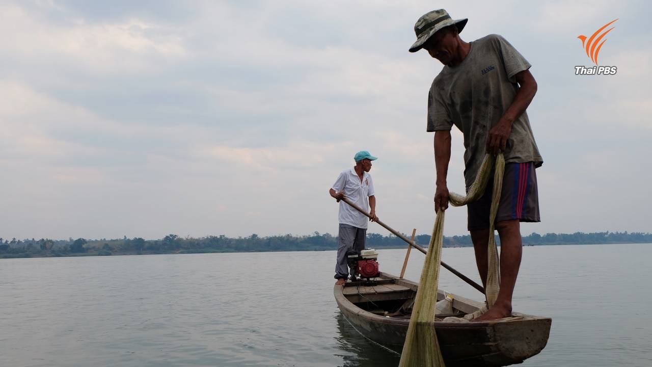ชาวประมงลอยเรือหาปลาในแม่น้ำโขง ใกล้จุดบรรจบระหว่างแม่น้ำโขงกับแม่น้ำเซซาน