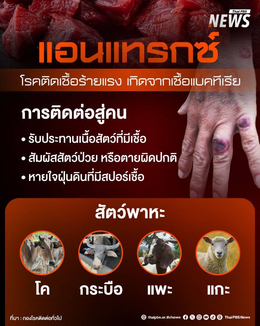 https://news.thaipbs.or.th/media/NLOrLVclxcgV1x2f4Vg3G4WPrhbq6pD.jpg