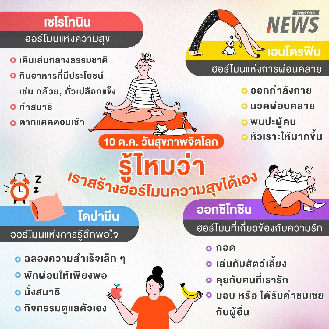 https://news.thaipbs.or.th/media/NLOrLVclxcgV1x2f4Vg7ECvFX44fFWr.jpg