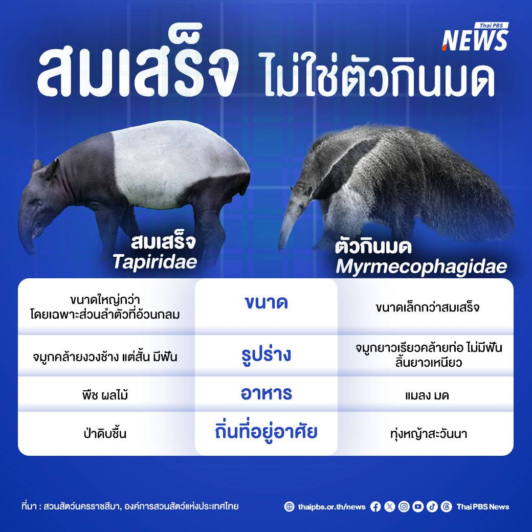 https://news.thaipbs.or.th/media/NLOrLVclxcgV1x2f4Vg7ELKE6C5IfYK.jpg