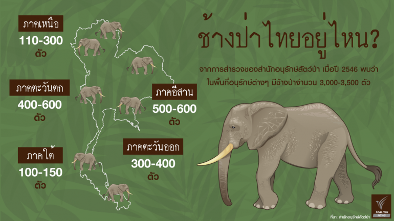จำนวนช้างป่าในประเทศไทยที่สำนักอนุรักษ์สัตว์ป่าสำรวจเมื่อ 2546
