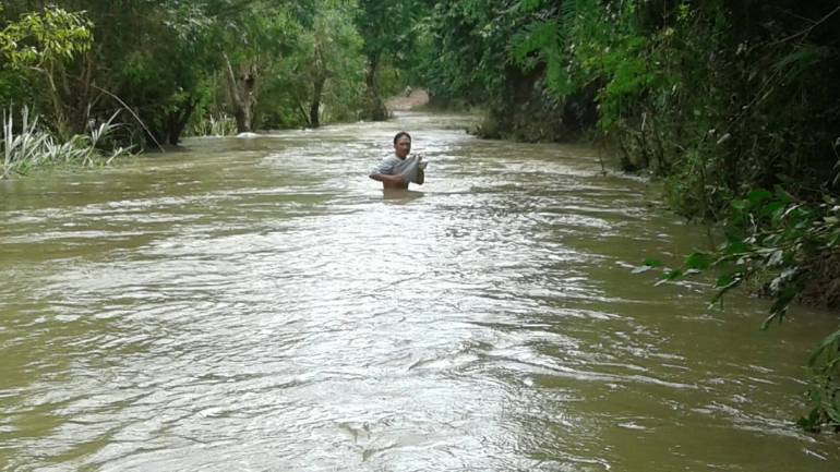 ภาพ:กรมอุทยานแห่งชาติสัตว์ป่าและพันธ์ุพืช