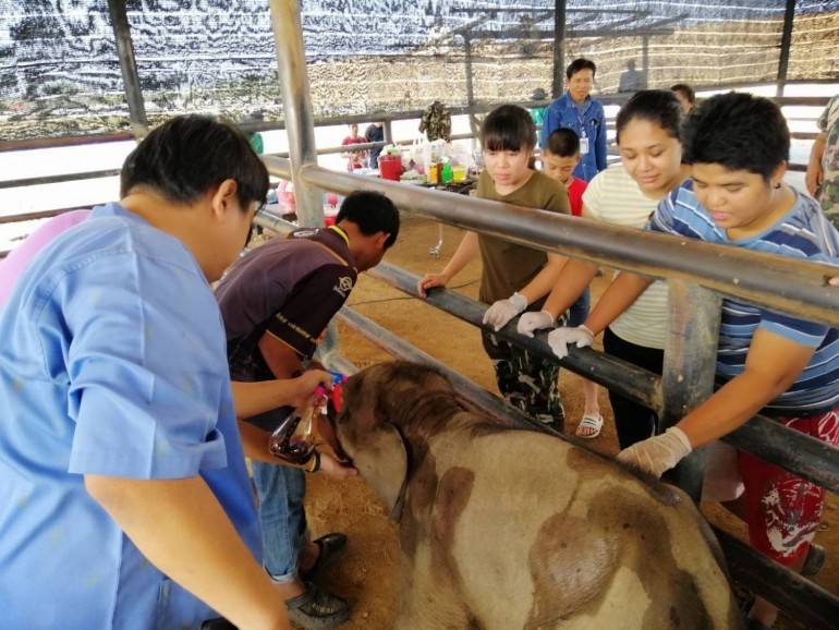 ภาพ:กรมอุทยานแห่งชาติสัตว์ป่าและพันธ์ุพืช 