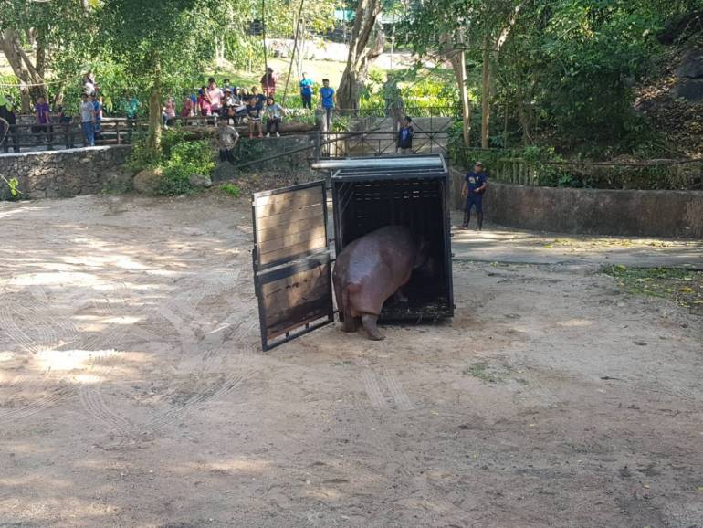ภาพ:สวนสัตว์เปิดเขาเขียว จ.ชลบุรี 
