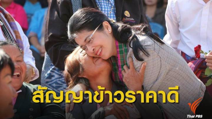 “เพื่อไทย” ยืนยันมีวิธีทำ ข้าว-ยาง-อ้อย ราคาดี