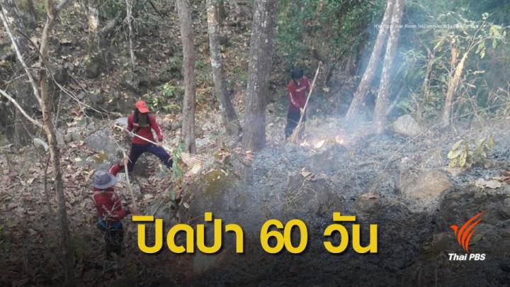 ฝุ่นวิกฤต!  "ลำปาง" สั่งปิดป่า  60 วันห้ามเก็บของป่าฝืนโทษหนัก