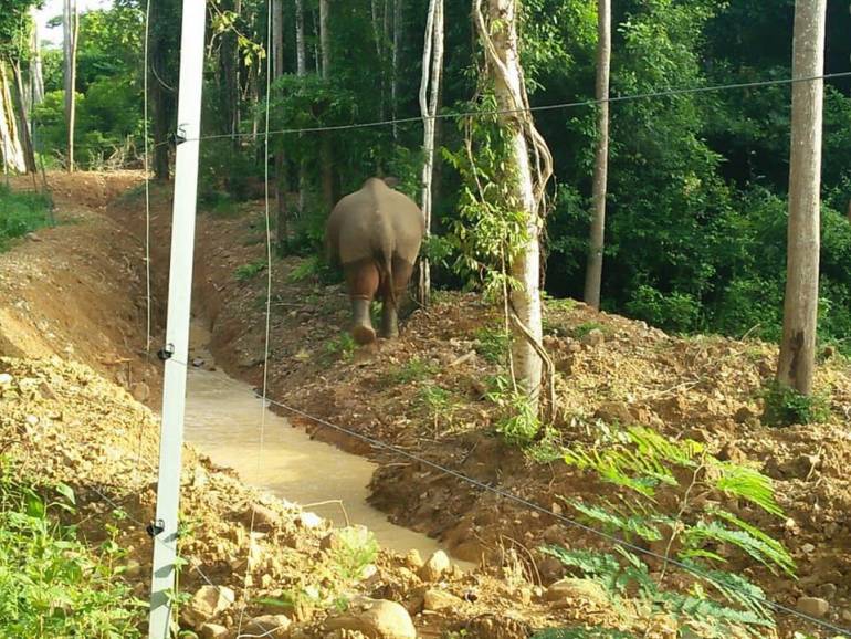 ภาพ:เขตรักษาพันธ์ุสัตว์ป่าเขาอ่างฤาไน