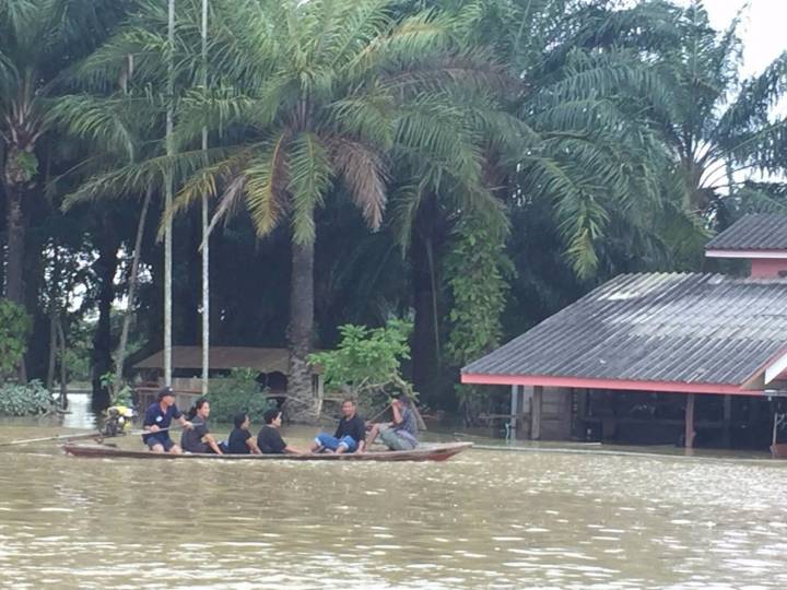 อ.พุนพิน จ.สุราษฎร์ธานี น้ำท่วมสูงหลายตำบล กรมอุตุฯ เตือนภาคใต้ฝนตกหนักถึง 25 ม.ค.นี้ 