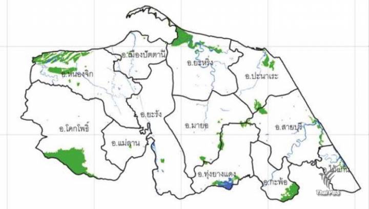 เปิดสถิติป่าไม้ภาคใต้  น้อยสุด "ปัตตานี" เหลือป่า 5 % 