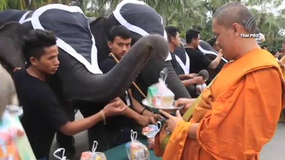 ช้างสวนนงนุชร่วมทำบุญถวายเป็นพระราชกุศล