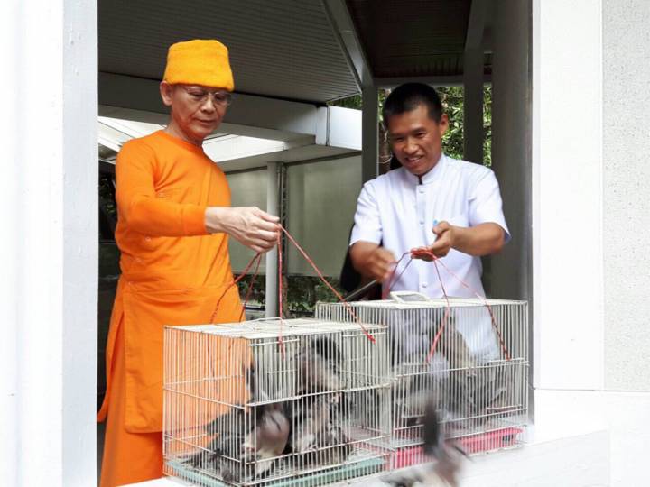 วัดพระธรรมกายชี้แจงภาพ "พระธัมมชโยนั่งรถ-ปล่อยนก"