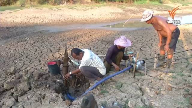 “สวนกล้วย” บางบาลที่ปลูกแทนข้าวไม่รอด เจอแล้งซ้ำยืนต้นตาย หลายพื้นที่จนท.ต้องส่งน้ำช่วย