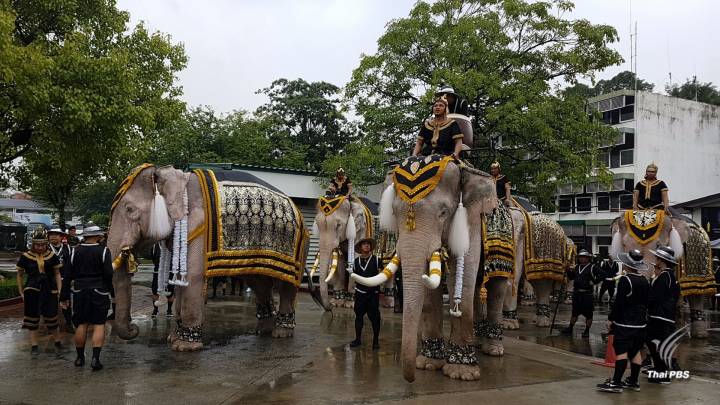 ช้างแปรขบวนแสดงความอาลัย ในหลวง รัชกาลที่ 9 