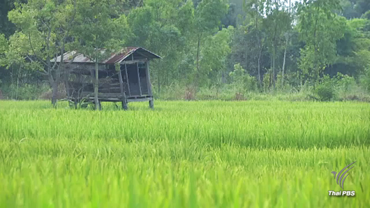 โครงการพระราชดำริแก้ภัยแล้ง พลิกชีวิตที่ "หมู่บ้านขอทาน"