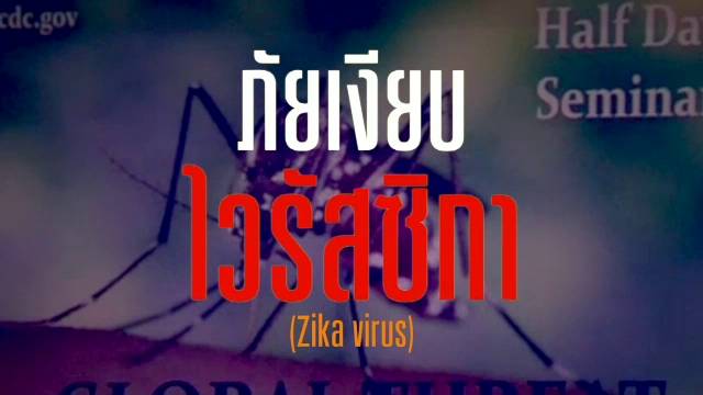 พลิกปมข่าว : ภัยเงียบไวรัสซิกา