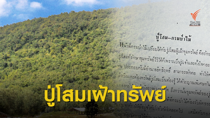 เปรียบ กรมป่าไม้ เป็น "ปู่โสม" เฝ้าทรัพย์แผ่นดิน  