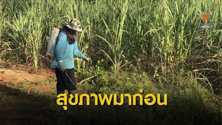 "ไบโอไทย" เตือนนักวิชาการดัง ขอยึดจุดยืนสุขภาพแบนสารเคมี  