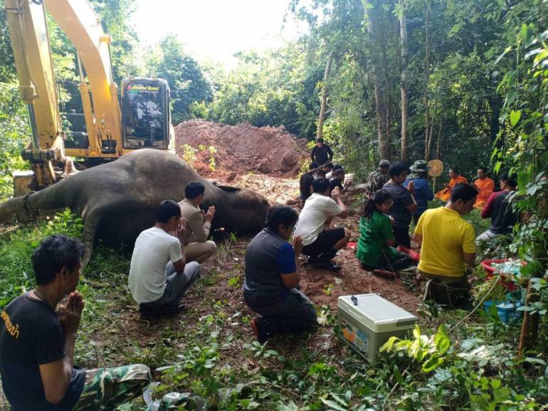 ภาพ:กรมอุทยานแห่งชาติสัตว์ป่าและพันธ์ุพืช