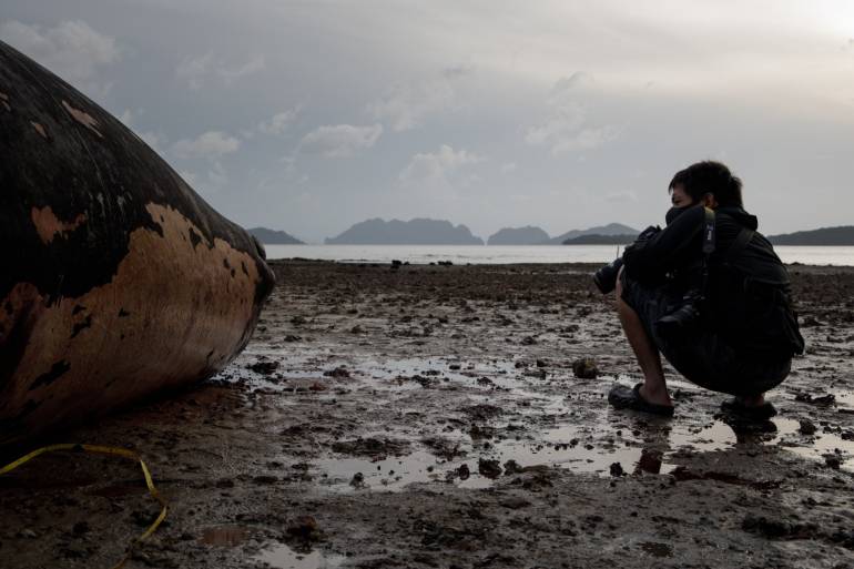 ภาพจาก FACEBOOK ชิน ศิรชัย อรุณรักษ์ติชัย ขณะกำลังถ่ายภาพซากวาฬ เกาะลันตา จังหวัดกระบี่
