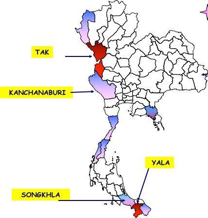 แผนที่แสดงให้เห็นถึงการระบาดของมาลาเรีย

ภาพ : Mahidol Vivax Research Unit