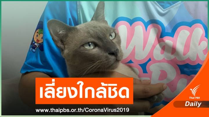 ไขคำตอบ! สัตว์ป่า-สัตว์เลี้ยงแพร่ COVID-19 สู่คนได้หรือไม่