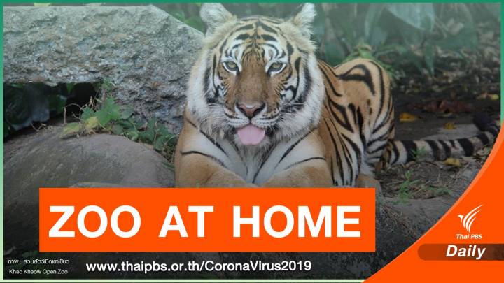 "ZOO AT HOME" เที่ยวสวนสัตว์แบบออนไลน์ ยุค COVID-19