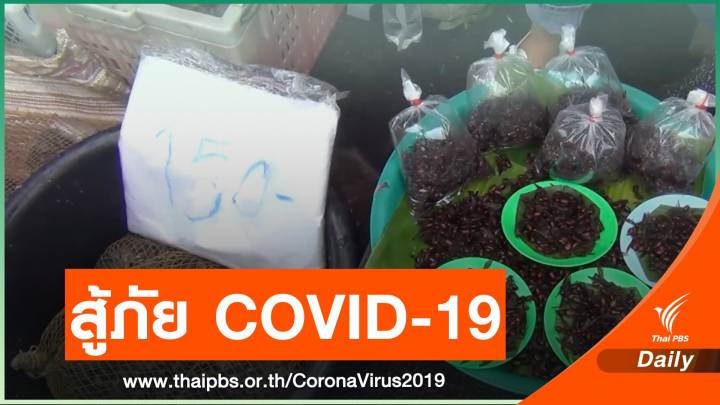 ขาย "อึ่งอ่าง-เเมงมัน" สู้ภัย COVID-19 จ.ลำปาง