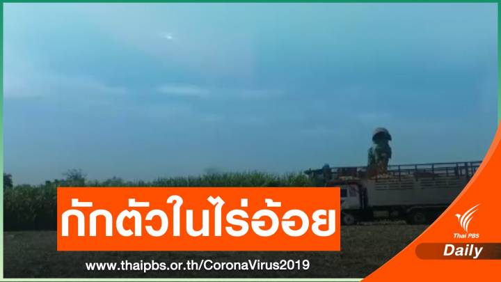 เสนอกักตัวในไร่อ้อยแก้ปัญหานำเข้าแรงงานกัมพูชา