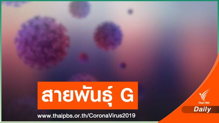 ถอดรหัสพันธุกรรม COVID-19 ท่าขี้เหล็กเป็น "สายพันธ์ุ G" 