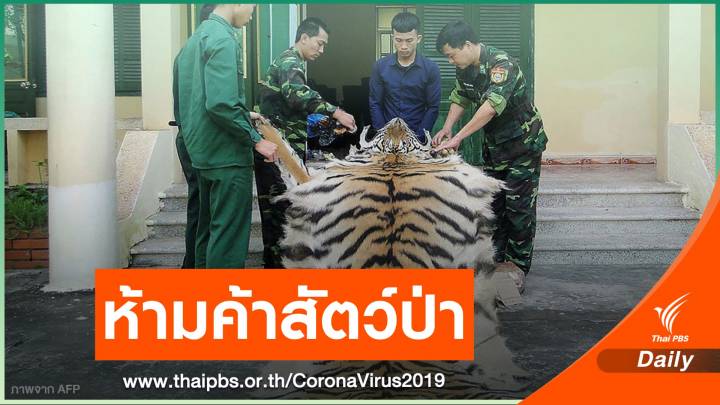 เวียดนามสั่งห้ามล่า-ค้าสัตว์ป่าป้องกัน COVID-19 ระบาด