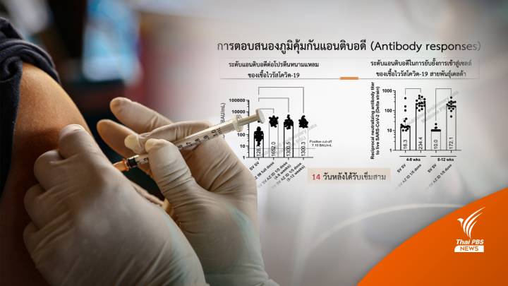 หมอเผยผลวิจัยฉีดเข็ม 3 เข้าชั้นผิวหนัง ภูมิสูงใกล้เคียงฉีดกล้ามเนื้อ