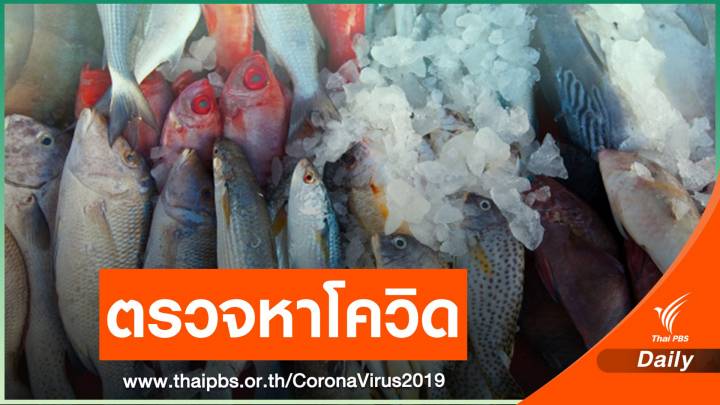 ตรวจอาหารทะเล-บรรจุภัณฑ์ 117 ตัวอย่าง ไม่พบปนเปื้อนโควิด